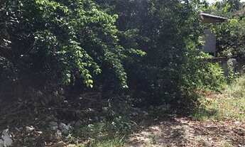 Imagem 4: Terreno ótimo preço na Praia de Pipa