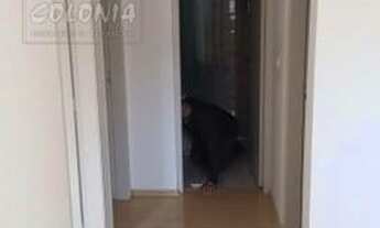 Imagem 7: São Bernardo do Campo - Apartamento Padrão - Nova Petrópolis