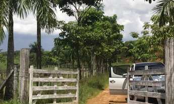 Imagem 4: Fazenda com 3 dormitórios à venda, 12 alqueires- Casimiro de Abreu/RJ