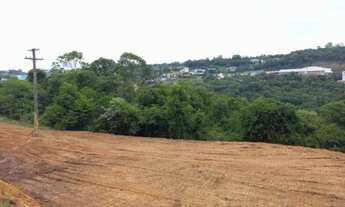 Imagem: Vendo terreno na beira da BR 470 km 212