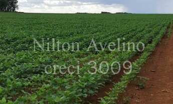 Imagem 4: Fazenda em lavoura 1000ha