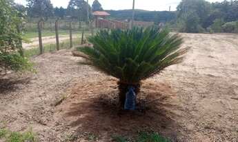 Imagem 3: Chácara a Venda no bairro Rural - Bofete, SP