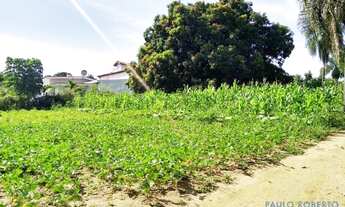 Imagem 2: CHACARA - DOIS CÓRREGOS - SP