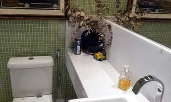 Imagem 3: LINDO APARTAMENTO EM SANTA LÚCIA / VITÓRIA / ES