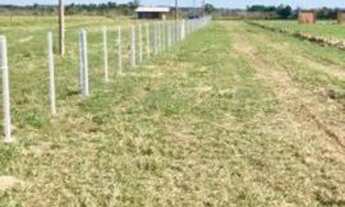 Imagem 2: BARBADA!!! Terrenão plano, luz na frente, 1200mts da RS040!!!