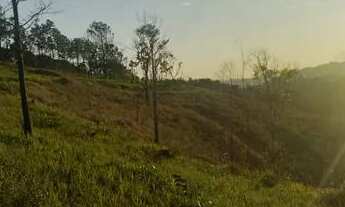 Imagem 7: 48M-Q7FI20 Terreno / lote com venda por R$50.000