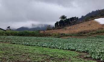 Imagem 5: Venda-se Chácara em PEDRA AZUL em Arrace/ES