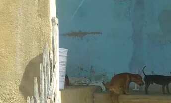 Imagem 5: Vendo casa no vale do sol viana