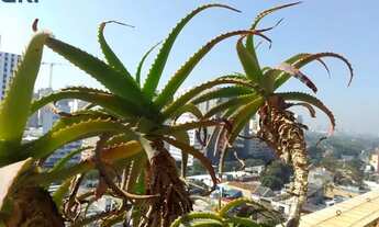 Imagem 6: Apartamento para aluguel possui 110 metros quadrados com 3 quartos em Pinheiros - São Paul