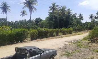 Imagem: Fazenda/Sítio/Chácara para venda tem 101578