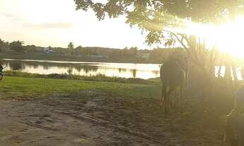 Imagem 3: Terreno 12x30 em Lagoa do Sítio Macaíba