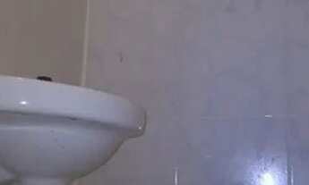 Imagem 3: Sala Comercial Alugo / vendo