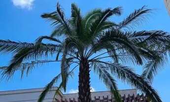 Imagem 5: Apartamento à venda, 4 suítes, Bela Suíça - Londrina/PR