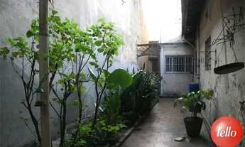 Imagem 7: São Paulo - Casa Comercial - Tatuapé