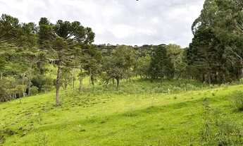 Imagem 4: Fazenda/Sítio/Chácara/Terreno à venda em Urubici/SC