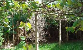 Imagem 5: Casa em Nonoai Casa com 3 dormitórios