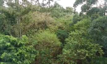 Imagem 5: Apartamento para aluguel possui 55 metros quadrados com 2 quartos em Vila Indiana - São Pa