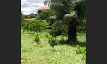 Imagem 3: Lindo Sitio Com Sede Diferenciada!!!!Água De Rio//100% Cultura!!!