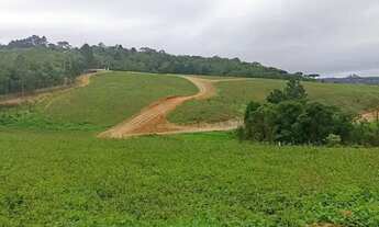 Imagem 3: LOTES COM VARIOS BENEFICIOS