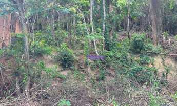 Imagem 3: Terreno à venda, 700 m² por R$ 300.000,00 - Serra Grande - Niterói/RJ