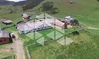 Imagem 2: FAZENDA COM 985 HA EM SÃO JOSÉ DOS AUSENTES- RS