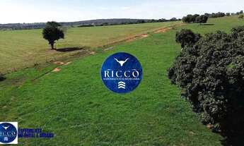 Imagem 6: Fazenda à Venda em Cezarina 20 Alqueires Produtivos, Próxima a Goiânia