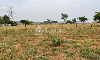 Imagem: Lote Americano do Brasil