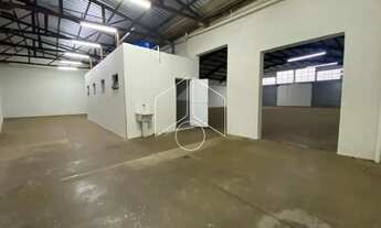 Imagem 6: Comercial GalpãoBarracão em Marília