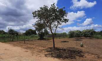 Imagem 3: 02 lotes em São José - Fazenda Ovo da Ema