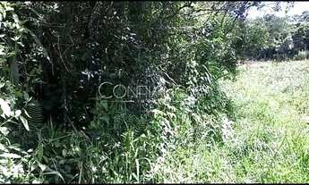 Imagem 6: Area a venda em Campo Magro - PR