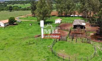 Imagem: Fazenda 32 alqueires (154,88 hectares) Iporá