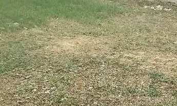 Imagem 5: Terreno em Condomínio para Venda em Sorocaba, Jardim Residencial Villagio Ipanema I