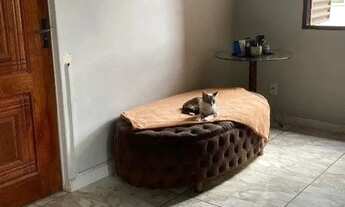 Imagem 2: Apartamento em Restinga