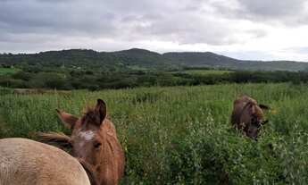 Imagem 3: Vendo ou troco Terreno / lote com venda por R$250.000