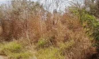 Imagem 5: CHACARA DAIA 2 BR 153