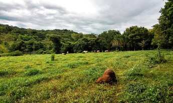 Imagem 2: Vendo 15 hectares de terra dentro da expansão urbana de Goiânia