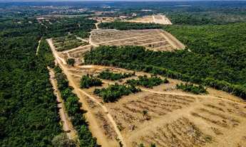 Imagem 6: Residencial Pássaros da Amazônia Lotes Entrada Facilitada