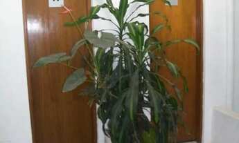 Imagem 4: Galpão à venda e para alugar em Osasco, Presidente Altino, com 607.4 m²