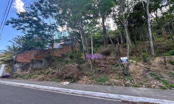 Imagem 4: Terreno à venda, 700 m² por R$ 300.000,00 - Serra Grande - Niterói/RJ