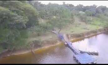 Imagem 5: Sítio beira rio uatumã , ramal da morena estrada de Balbina