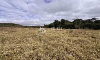 Imagem 3: Área para loteamento/condomínio com 250mil m², Alexânia - GO, 200m da BR 153