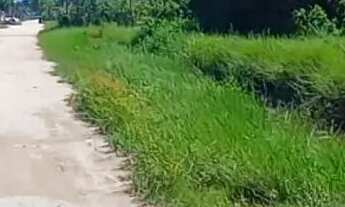 Imagem 3: Vendo terreno em Florestinha