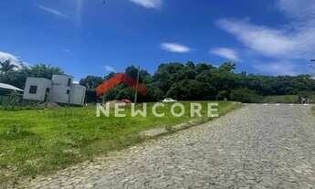 Imagem 5: Lote em Rua Djalmo Haack - Alexandria - Parobé/RS