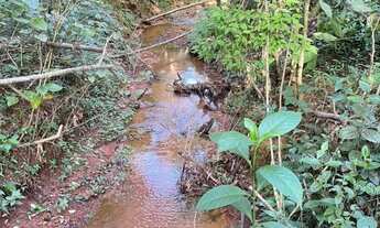 Imagem 5: Sítio 2 hectares em Gravataí-Santa tecla