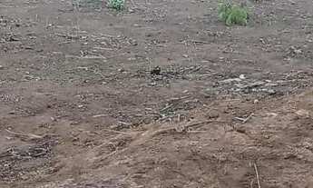 Imagem 3: Excelente Lote Incra 9 Oportunidade