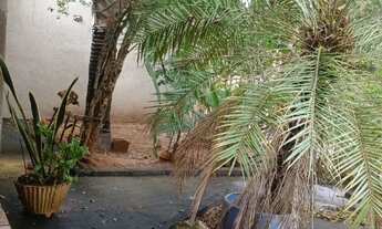 Imagem 2: Vendo chácara escriturada em Ipiguá , recanto dos dezoito