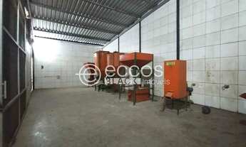 Imagem 7: Galpão para aluguel, Chácaras Tubalina e Quartel - Uberlândia/MG