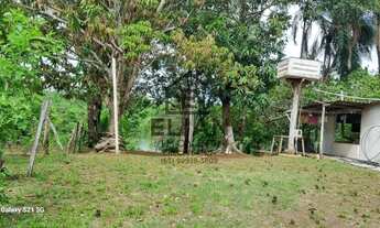Imagem 6: Chácara à venda em Rosário Oeste: 3 quartos, 2 banheiros, 10 ha. Frente de 60m para o Rio