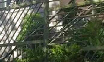 Imagem: Apartamento com 3 dormitórios para alugar