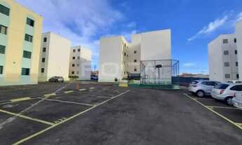 Imagem 4: Apartamento padrão com 2 dormitórios na Vila Jacobucci em São Carlos